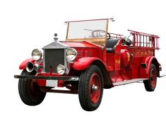 Dinas Damkar Pringsewu Tangani Pohon Tumbang di Kantor Camat